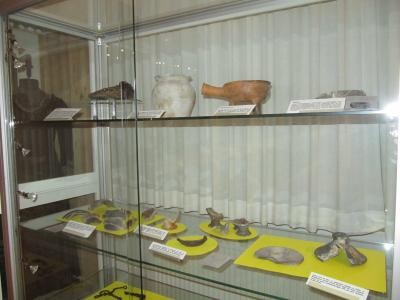 Glasvitrine mit Ausgrabungsgegenständen